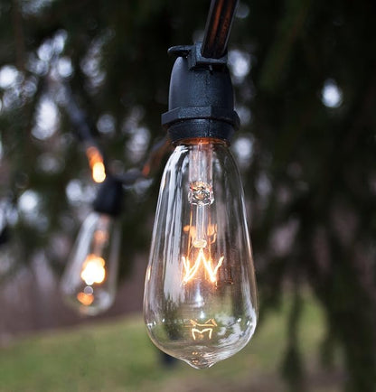 Hometown Evolution, Inc. Commercial Grade Vintage Edison Outdoor String Lights (ST40 Clear - Commercial White Wire, 100 ft)