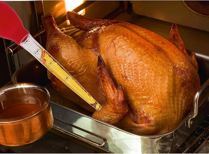 HIC Kitchen Roasting Stand-Up Turkey Baster, Heat-Resistant Silicone Bulb with Plastic Tube, 1-Ounce Capacity