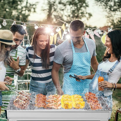 Stainless Steel BBQ Charcoal Grill, 28x 13 x 27" Portable & lFoldable Barbecue Grill, Outdoor Patio Garden Heating Smoker for Cooking Camping Hiking Picnic Garden Beach Party