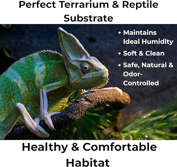 GARDENWISE Peat Moss for Plants – Organic Sphagnum Peat Moss for Orchids, Terrariums, Seed Starting, Reptiles & Potting Soil Mix (3 quarts)