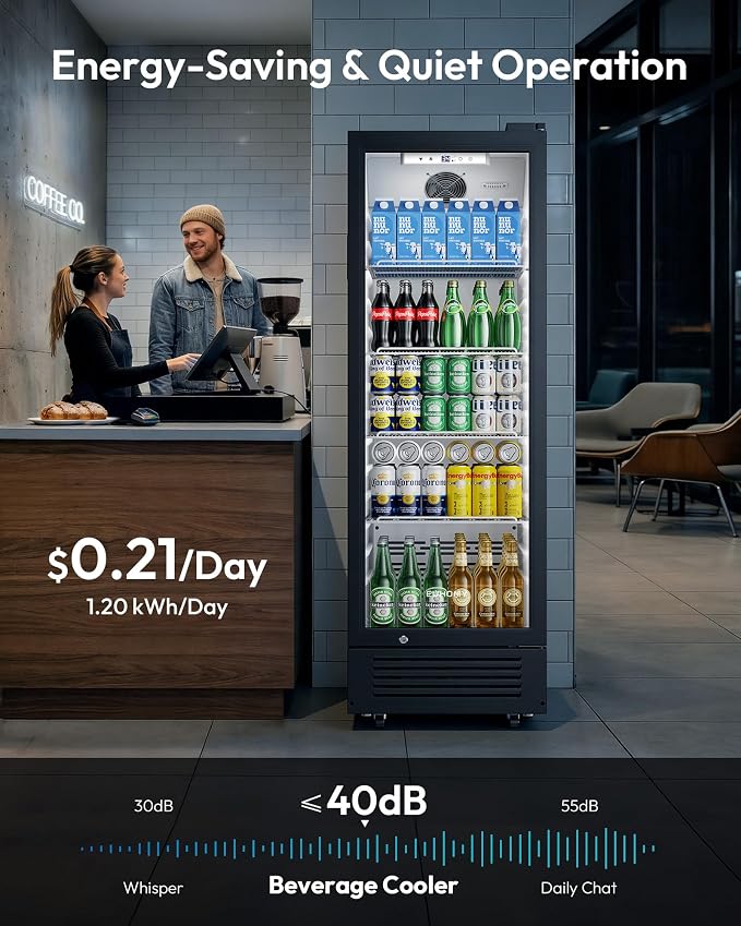 EUHOMY 9 Cu.Ft Commercial Beverage Refrigerator with Glass Door, Display Refrigerator LED Light & Adjustable Shelves, Commercial Refrigerator with Lock, Display Fridge for Bar, Office, Restaurant
