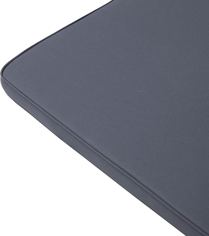 Christopher Knight Home 309785C Shane Chaise Lounge Cushion Outdoor Set of 2 with Removable Cover, 2 Piece Water-Resistant Lounge Chair Cushion 78.75" L x 23.75" W x 1.5" H Dark Grey