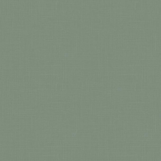 Arden 4-Pack earthFIBER Outdoor Patio Dining Chair Cushion, 20x44, Rain-Proof Seat Pad, Fade-Resistant Outdoor Cushion Sage Green Texture
