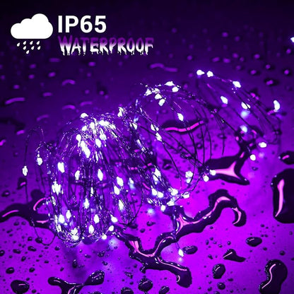 Joomer Purple Halloween Solar String Lights - 2 Pack Total 80FT 240LED | Solar Fairy Lights, Waterproof Outdoor Twinkle Lights with 8 Modes for Garden, Porch, Trees, Halloween Decor (Black Wire)