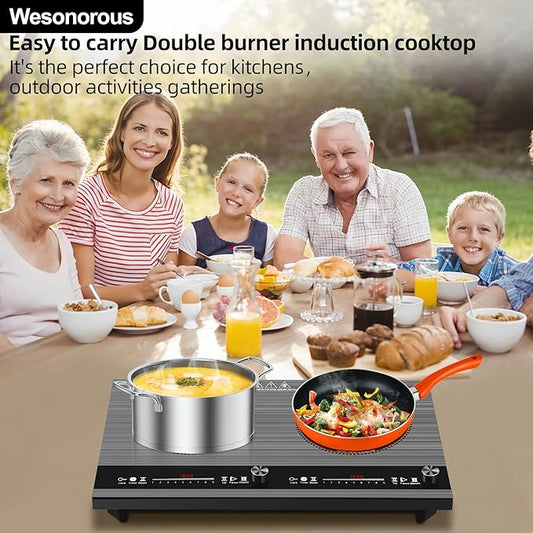 2 burner induction cooktop,110V 3000W 2 burner induction plate with Brushed Panel LED Knob Control, induction stove top with 9 Power Levels, Kids Lock & Timer,24 Inch double induction cooktop