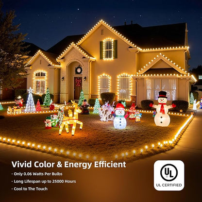 Minetom 100 LED C9 LED Christmas Lights Outdoor, 66FT Lighted Length Plug-in Waterproof C9 String Lights with Timer & Memory Function, 8 Modes, Connectable, for Tree Home Yard Party Indoor, Warm White