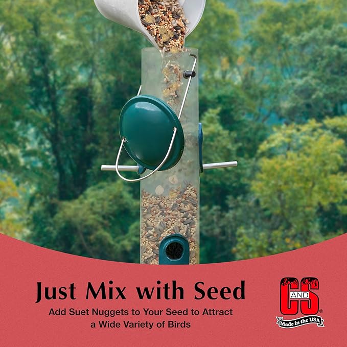 C&S Wild Bird Peanut Suet Nuggets Mega Box, 8 Pounds