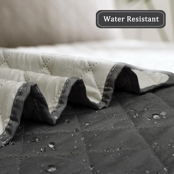 Easy-Going Reversible Couch Cover, Chair 30 in, Dark Gray/Beige | Machine Washable Slipcover For Dogs, Water Resistant Furniture Mat For Living Room, Non-Slip Sofa Cover, Pet Friendly