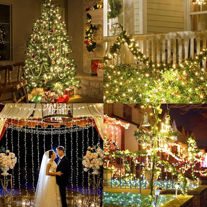 Clear Christmas Lights 25FT 100 Incandescent Bulbs Warm White Mini Lights with Black Wire for Christmas Tree, Garland, Thanksgiving, Wedding, Party, Home, Indoor & Outdoor Festival Decoration