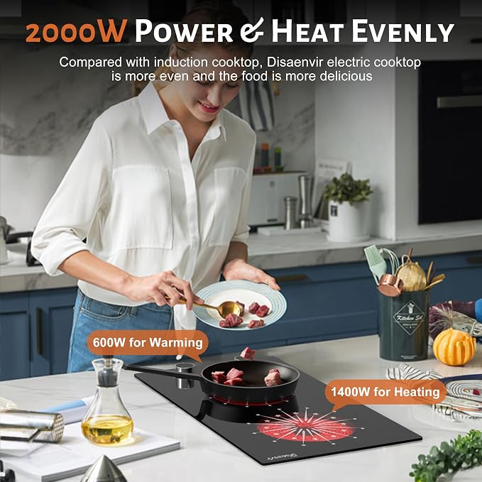 2 Burner Electric Cooktop 110V Portable Plug in 2000W | 12 Inch Two Burner Electric Stove Built-in & Countertop, Knob Control, Over Heat Protection, 9 Power Level, 120V Portable