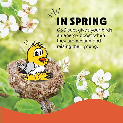 C&S Sunflower Suet Treat, for Chickadees, Nuthatches, Tufted Titmice, Woodpeckers, Wrens, Warblers, Brown Creepers, Northern Flickers, Pine Grosbeaks, Jays and More, 11 Ounces, Pack of 8