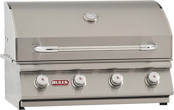 Bull Outdoor Products 26039 Natural Gas Outlaw Drop-In Grill Head & Mophorn Outdoor Kitchen Doors, 30W x 21H Inch, 304 Stainless Steel Double Doors with Vents, BBQ Access Door