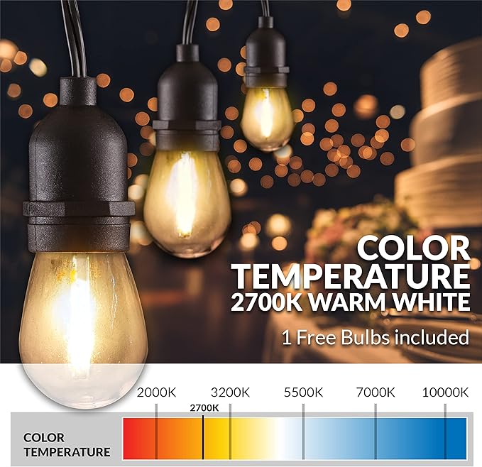 Newhouse Lighting LED String Lights with Weatherproof Technology, Dimmable with Wireless Remote Control, 48ft and 16 (15+1 Free) LED Light Bulbs Included, Black (CSTRINGLEDDIM)