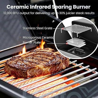 Flintex 6-Burner Propane Gas Grill with Infrared Searing Side Burner and Porcelain-Enameled Cast Iron Grates & Pan, Outdoor BBQ Grill with 53,500 BTU Output, 630 sp.in. Cooking Area, Black