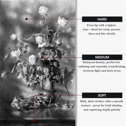 Aenir Compressed Charcoal Sticks Set of 12 – Soft, Medium, Hard Charcoal for Drawing, Sketching & Shading – Art Supplies for Artists, Beginners & Adults