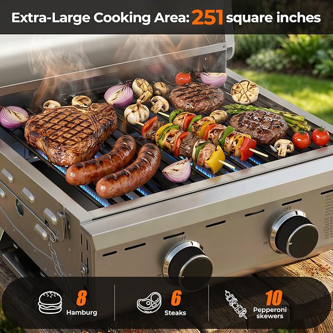 Electactic 20,000 BTUs Portable Tabletop Gas Grill, 2-Burner Propane Grill with 251 Sq.in Cooking Area, Stainless Steel BBQ Grill with Foldable Legs, Easy Assemble & Clean for Outoor