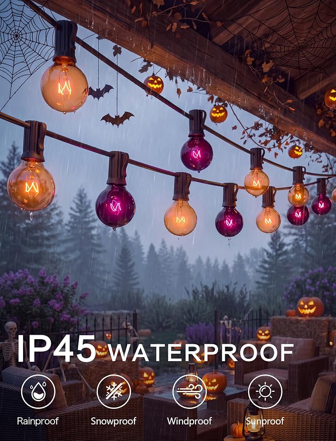 SUNSGNE 25FT G40 Halloween String Lights, Clear Orange Purple Globe Lights | 27 Glass Filament Bulbs(2 Spare), Orange Purple Halloween Glow, Vintage Glass Globe Design, Plug-In Power
