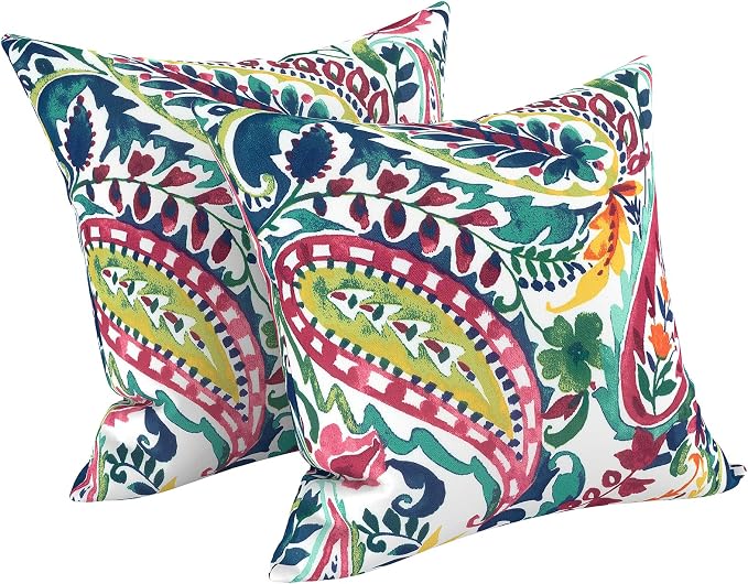 LVTXIII 2 Pack Outdoor Throw Pillow Covers for Patio Furniture, 16x16 Inch Square Pillow Case, Water-Repellent Cushion Covers for Garden, Porch, Sofa, Vigour Paisley