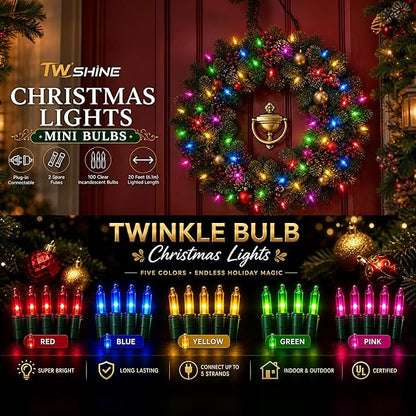 TW SHINE Outdoor Christmas Lights, 20FT 100 Count Christmas String Lights Incandescent, Waterproof Indoor Mini Christmas Tree Lights for Xmas Decorations, Multi Colored