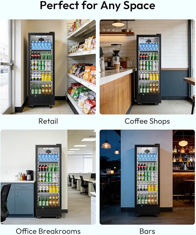 EUHOMY 9 Cu.Ft Commercial Beverage Refrigerator with Glass Door, Display Refrigerator LED Light & Adjustable Shelves, Commercial Refrigerator with Lock, Display Fridge for Bar, Office, Restaurant
