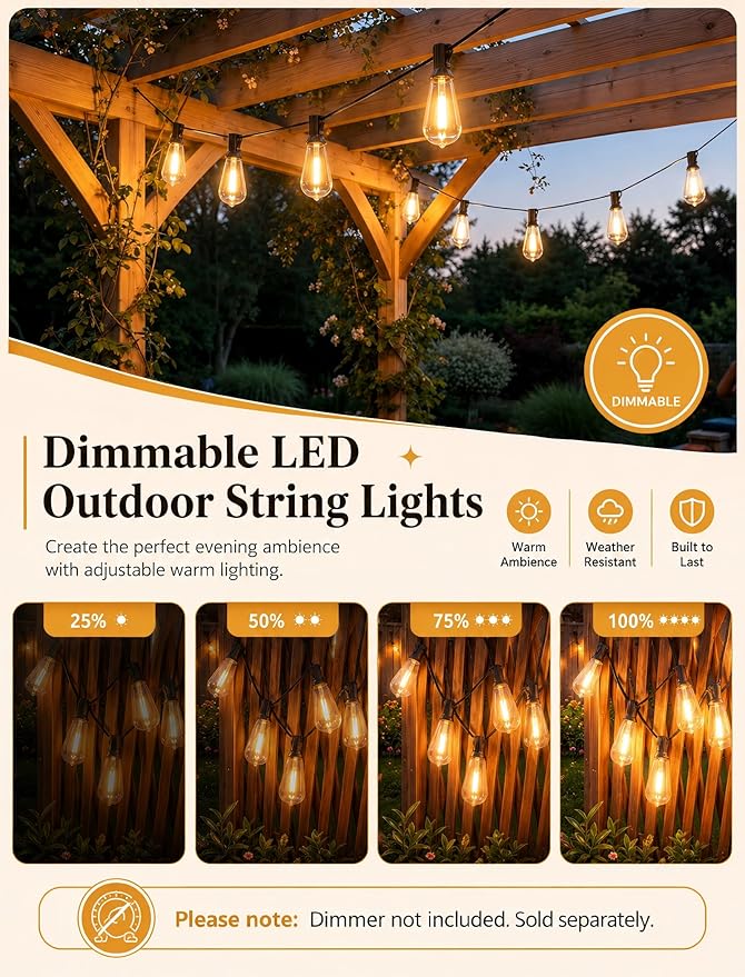 20FT LED Outdoor String Lights,Edison Lights Outdoor String with 22 Shatterproof ST40 Vintage Edison Bulbs,Outside Lights Waterproof for Outside Backyard Porch,Garden,Black