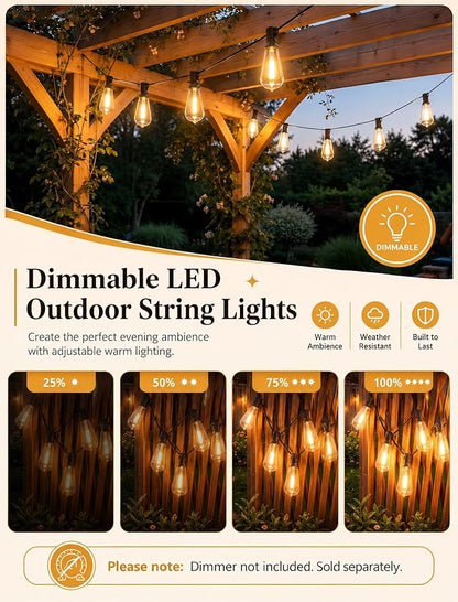 20FT LED Outdoor String Lights,Edison Lights Outdoor String with 22 Shatterproof ST40 Vintage Edison Bulbs,Outside Lights Waterproof for Outside Backyard Porch,Garden,Black