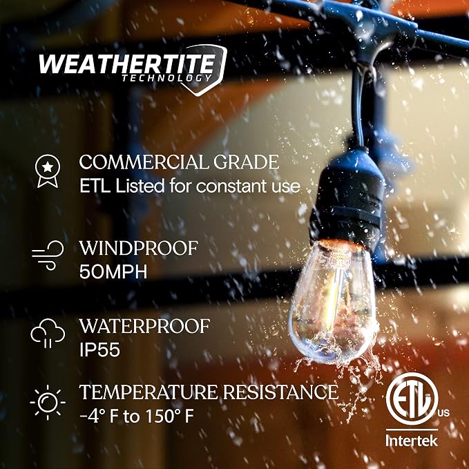 Brightech Ambience Pro LED String Lights - 48 Ft Commercial Grade Patio Lights Outdoor Waterproof - Heavy Duty Porch String Lights for Backyard, Christmas - Dimmable Vintage Edison 1W 15 Bulbs,
