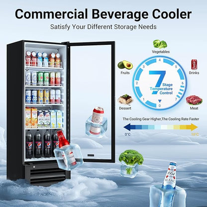 BODEGACOOLER Beverage Refrigerator, 290L/306 Qt Commercial Refrigerator For Kitchen, Home,Office and Garage, 264 Cans & 120 Bottles Display Refrigerator For Beer,Soda, Bar Cooler with Soft LED Light.