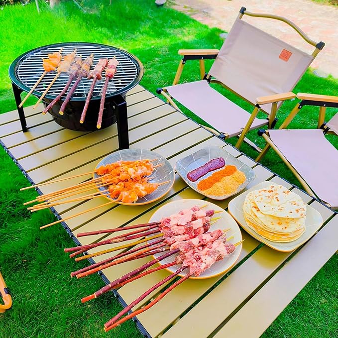 Charcoal Barbecue Grill, Portable BBQ Grill, Portable Camping Grill Stove, Outdoor Cooker,Black