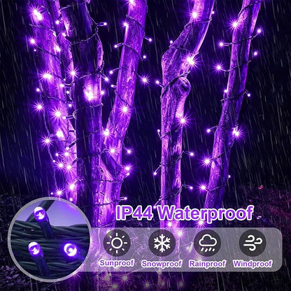 QITONG Purple Solar String Lights, 2 Pack Each 66ft 200 LED Christmas Fairy Lights Outdoor Waterproof, 8 Modes Green Wire Twinkle Lights for Outside
