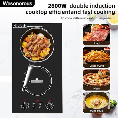 Double Induction Cooktop,110V 2600W 2 burner induction cooktop with hot plat with LED Touch Screen 10 Levels,Child Safety Lock & Timer 110V countertop burners