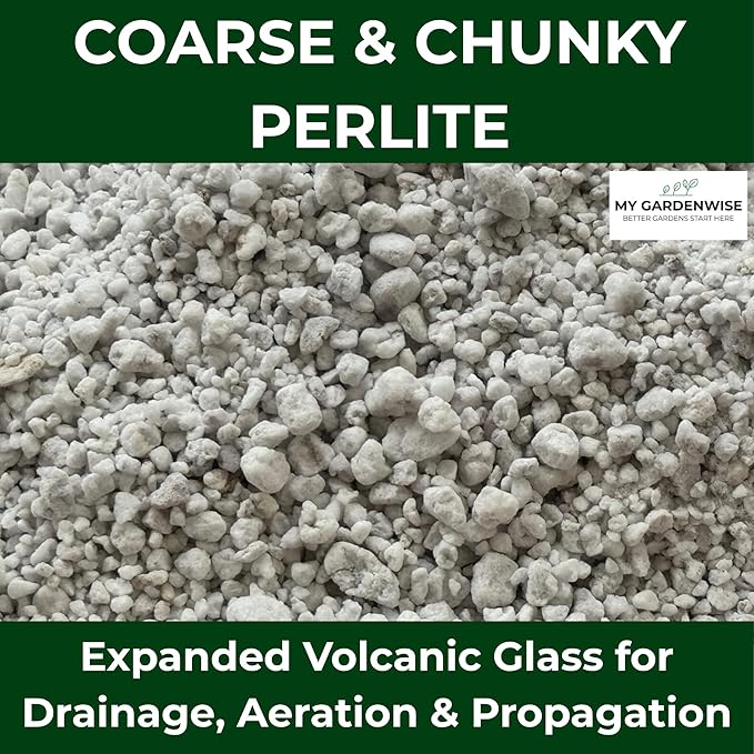 GARDENWISE Perlite for Plants, Coarse and Chunky Horticultural Perlite, Organic Perlite for Gardening Indoor & Outdoor, Perlite Bulk Bag, Made in USA (1 Quart)