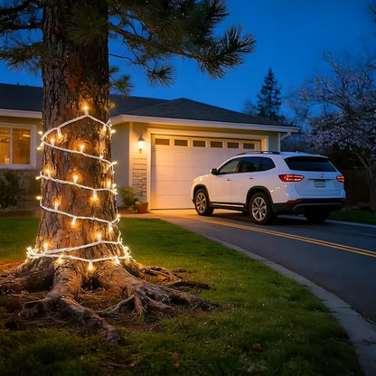 LUCKY SHINE 200 Clear Warm Christmas Lights, UL Certified and Commercial Grade 2 Sets100 Light with White Wire 66 Ft, for Indoor and Outdoor Party, Patio, Trees, Garden.
