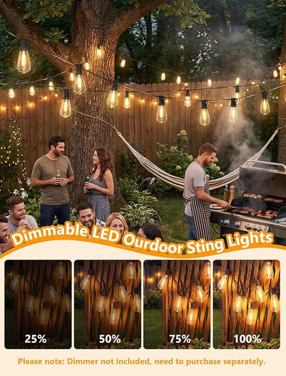 10FT Outdoor String Lights, 10 ST40 Edison LED Patio Lights | Shatterproof Bulbs, IP65 Waterproof, Dimmable 2700K Warm White, UL Listed Plug-In Black Wire for Porch Balcony