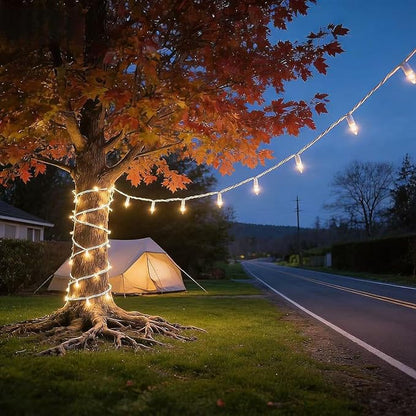 LUCKY SHINE 200 Clear Warm Christmas Lights, UL Certified and Commercial Grade 2 Sets100 Light with White Wire 66 Ft, for Indoor and Outdoor Party, Patio, Trees, Garden.
