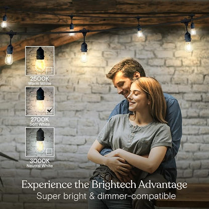 Brightech Ambience Pro - 24 Ft Waterproof LED Outdoor String Lights - Hanging, Dimmable 2w Vintage Edison Bulbs -Commercial Grade Patio Lights Create Cafe Ambience in Your Backyard - 7 Lights, Black