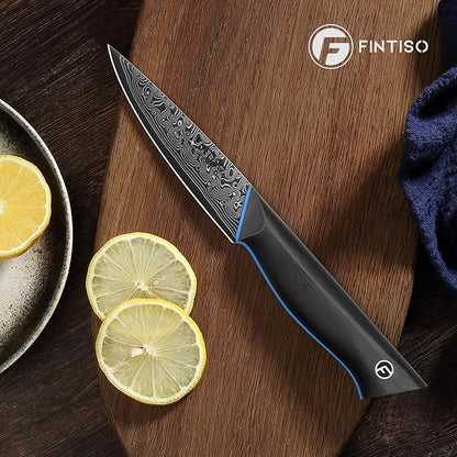 3.75 Inch Paring Knife, Fruit Knives with G10 Handle, 67-Layer Japanese Damascus Steel Forged Small Kitchen Knife, Ultra Sharp Knves with Exquisite Package