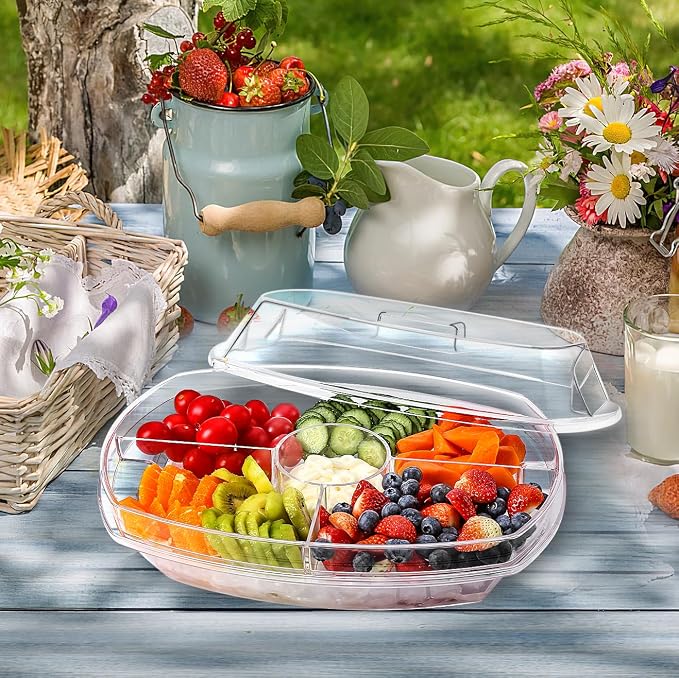 Fruit Ice Serving Tray, Chilled Veggie Tray, Shrimp Cocktail Serving Dish, Appetizer Serving Platter for Parties, with Lid and 4 Compartments