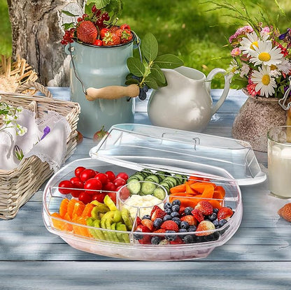 Fruit Ice Serving Tray, Chilled Veggie Tray, Shrimp Cocktail Serving Dish, Appetizer Serving Platter for Parties, with Lid and 4 Compartments