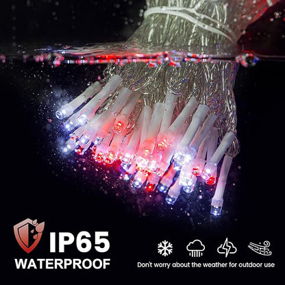 Hopolon 33FT 100 Led String Lights Indoor Outdoor,Red and White Christmas Lights Clear Wire,Connectable Waterproof Twinkle Fairy Light Plug in for Tree Valentines Day Bedroom Wedding,100 LED,Red White