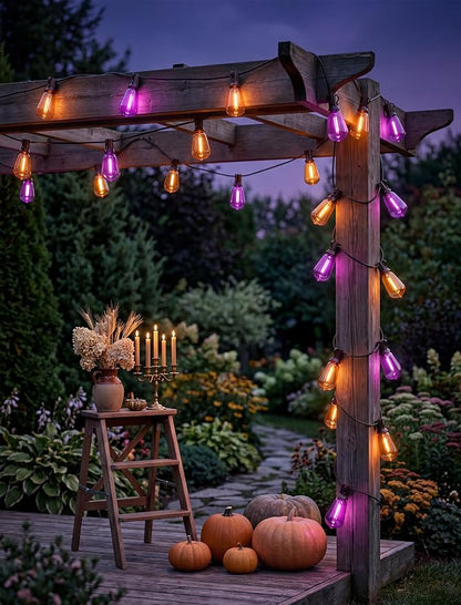 25Ft LED Outdoor String Lights, Halloween Orange Purple Lights with 25 0.6W ST38 LED Bulbs, Waterproof Connectable Patio Lights for Indoor Outdoor Backyard Garden Halloween Christmas Holiday Decor