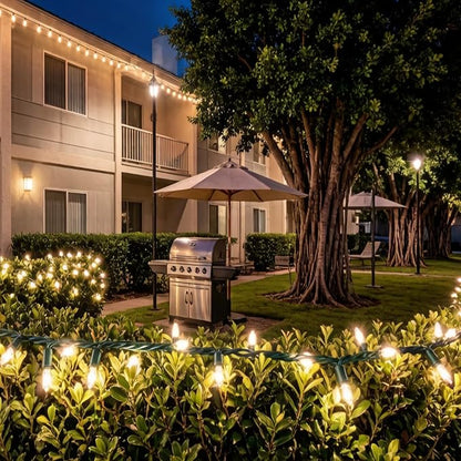 100 LED Warm White Green Wire Christmas String Lights, UL Certified and Commercial Decorative Lighting String 35 Ft, for Indoor Outdoor Christmas Trees, Patio, Trees.