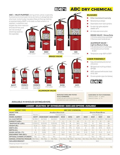 Amerex B417, 2.5 lb. ABC Dry Chemical Class A B C Fire Extinguisher with Wall Bracket, 2 Pack