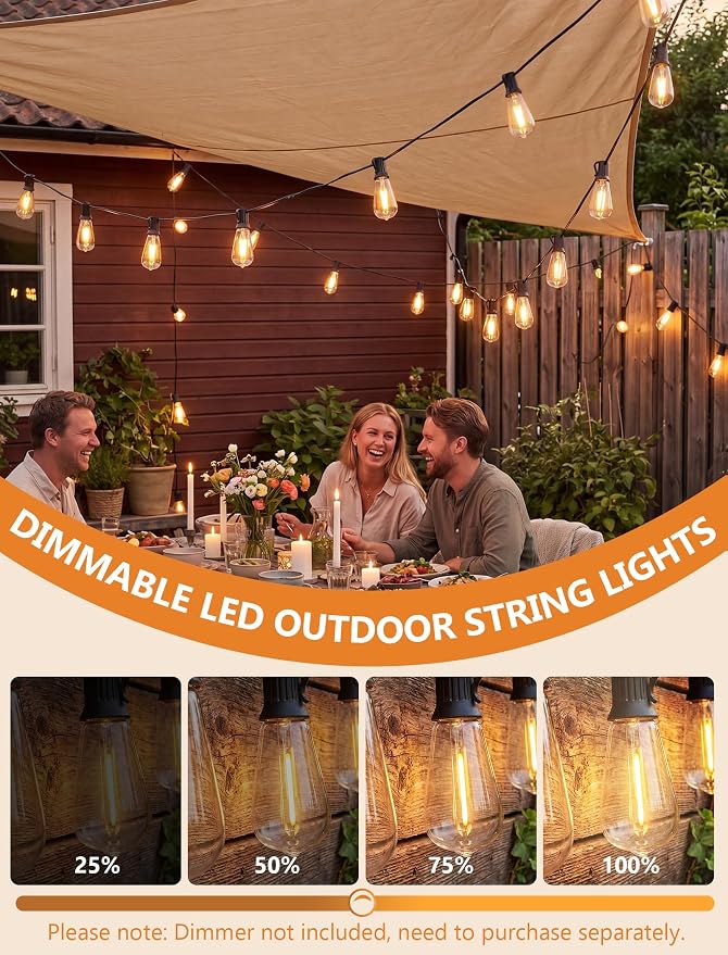 20FT ST40 LED Outdoor String Lights with 22 Shatterproof Vintage Edison Bulbs, Patio String Lights Waterproof for Backyard Porch Garden Balcony Party Bistro Decorations,2700K Warm White, Black Wire
