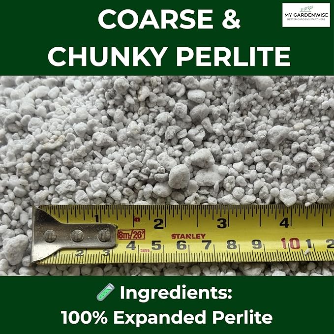 GARDENWISE Perlite for Plants, Coarse and Chunky Horticultural Perlite, Organic Perlite for Gardening Indoor & Outdoor, Perlite Bulk Bag, Made in USA (5 quarts)