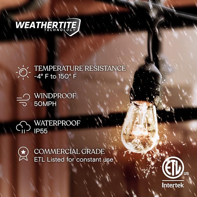 Brightech Ambience Pro Incandescent Outdoor String Lights - Commercial Grade Waterproof Patio Lights with 24 Ft Dimmable Edison Bulbs, Porch String Lights for Patio, Backyard, Christmas - 7 Bulbs 11W