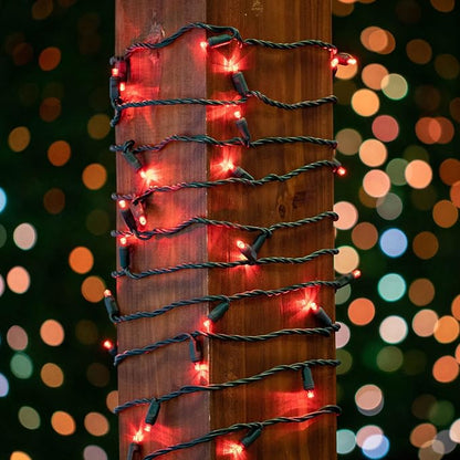 Novelty Lights 50ft 100 LED Red Christmas String Lights, Brown Wire | UL Listed IP55 Commercial Grade Xmas Lights for Outdoor & Indoor, 6 Inch Spacing, Dimmable, Connectable, Flicker Free Bulbs