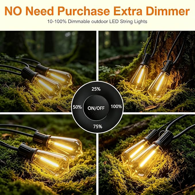 100FT Remote Outdoor String Lights for Outside, 50+2 LED Waterproof Shatterproof Edison Dimmable Timer Bulbs, 2500K Warm White Patio Lights for Garden Backyard Yard Hanging Lighting