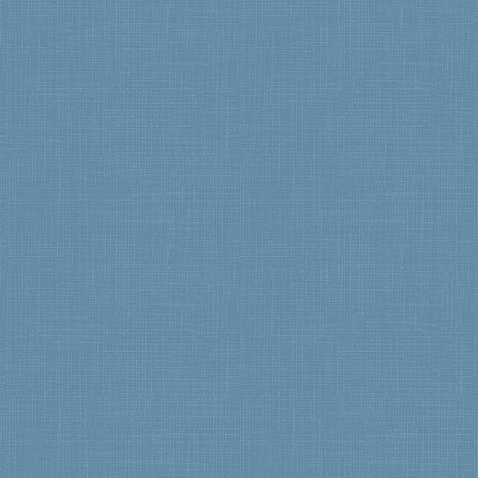 Arden Outdoor Patio Dining Chair Cushion, 20x44, Rain-Proof Seat Pad, Fade-Resistant Outdoor Cushion French Blue Texture