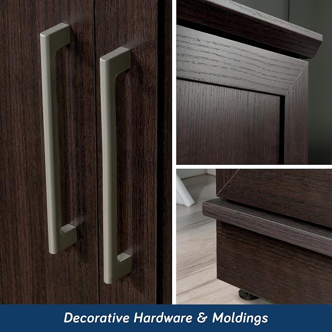 Sauder HomePlus Storage Cabinet/ Pantry cabinets, Dakota Oak finish